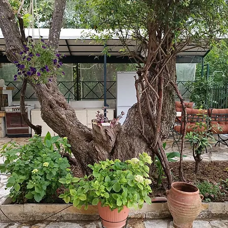 Casa Trizoni Apartment *