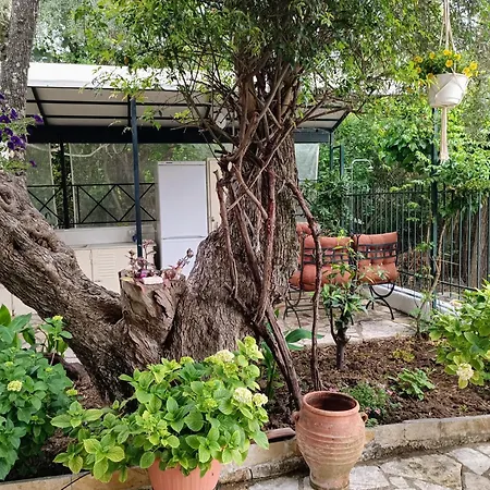 Casa Trizoni Apartament *