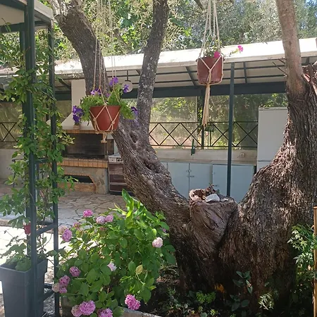 Casa Trizoni ניקיאנה